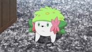 Shaymin's Land Form as it appears in the anime (Image via The Pokemon Company)